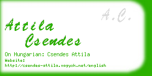 attila csendes business card